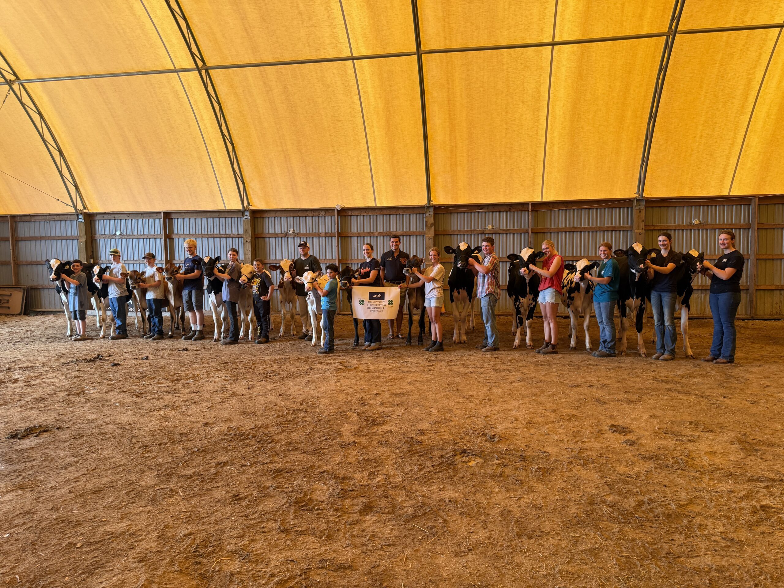 Kids stand with their cows in a barn.