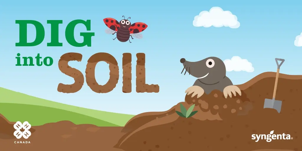 Dig-into-Soil