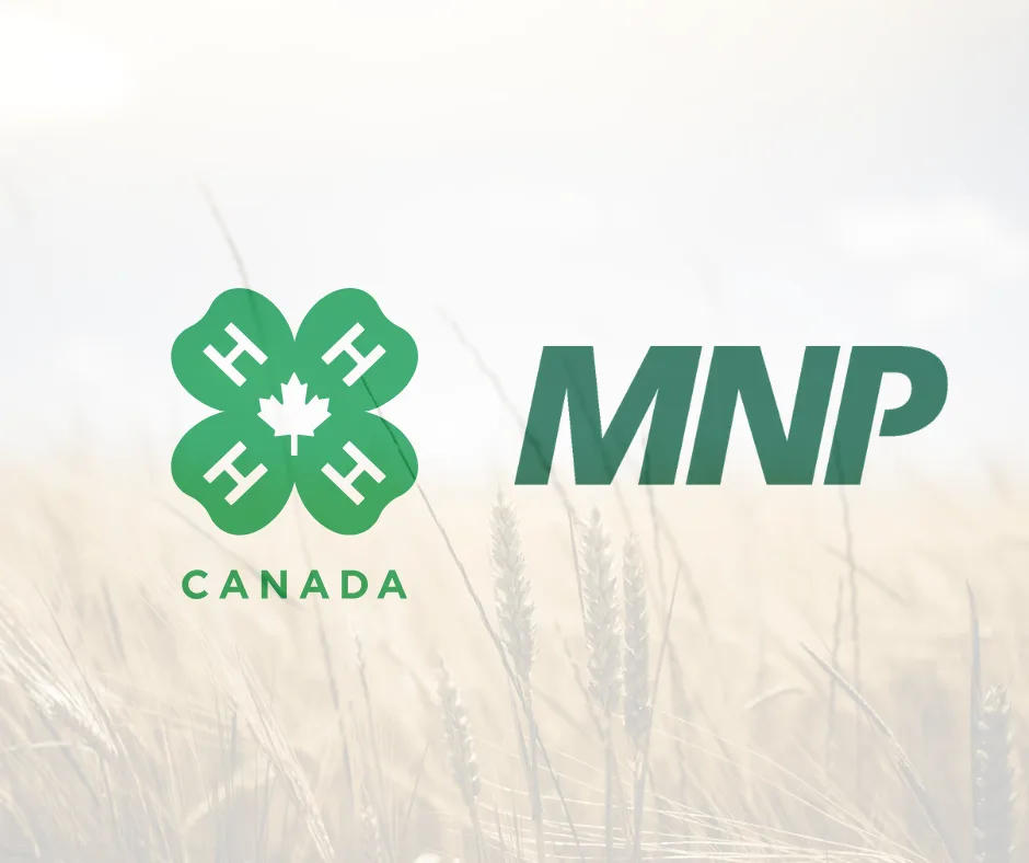 MNP scholarship webpic